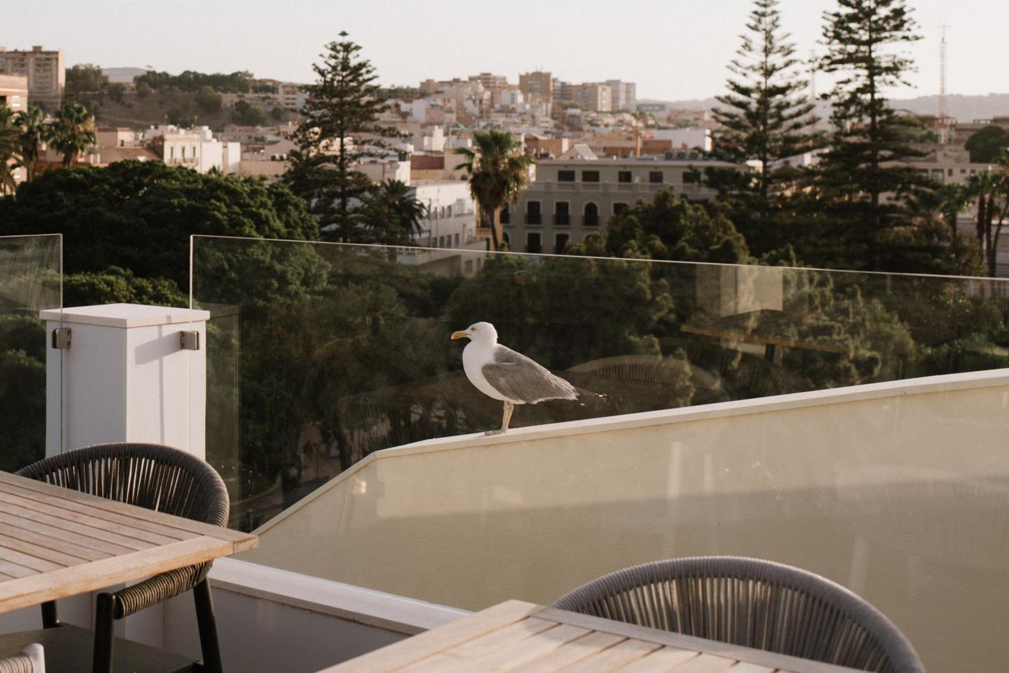 Hotel Melilla Centro ภายนอก รูปภาพ